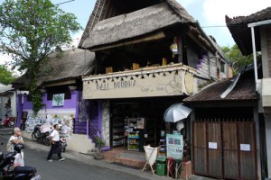 Bali, Indonesia – Ubud Review