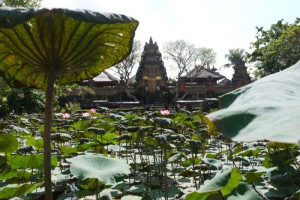 Bali, Indonesia – Life in Ubud