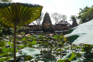 Around Bali, Indonesia (Photos)