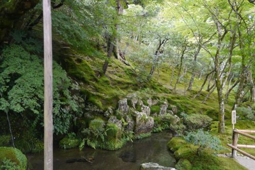 Silver Pavilion Grounds