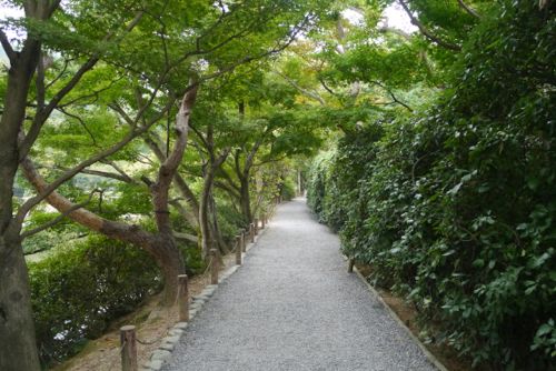 Walking Path