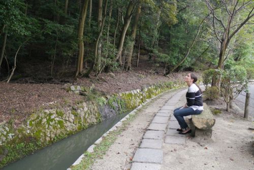taking in the Philosopher's Walk